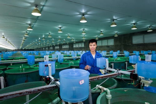 海大集團 連續(xù)多年保持20 以上增長速度的背后力量