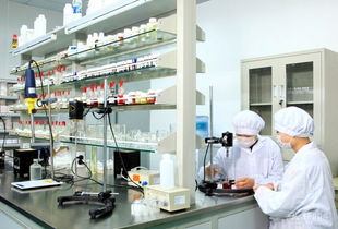 上?；瘖y品加工專業技術服務